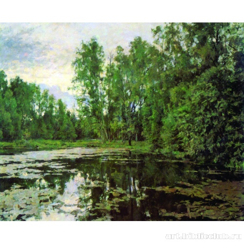 Заросший пруд. Домотканово