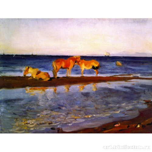 Лошади на взморье