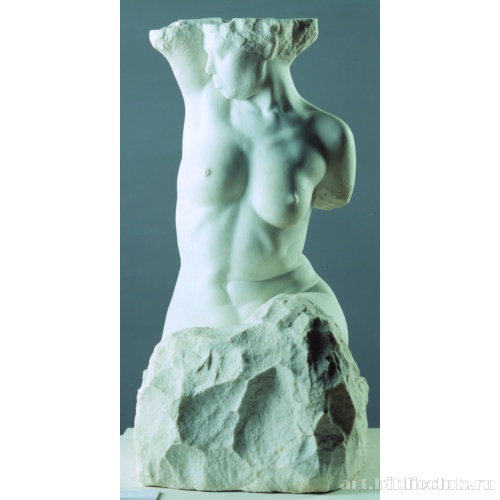 Женский торс