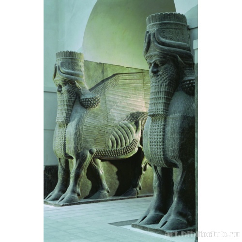 Крылатые быки (шеду) из дворца Саргона II в Дур-Шаррукине