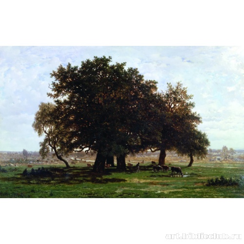 Дубы в лесу Фонтенбло