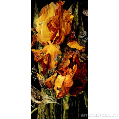 Большие Ирисы