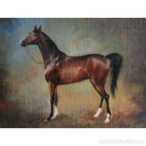 Арабская кобыла