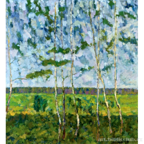 Тонкие березки