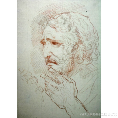 Голова пожилого человека