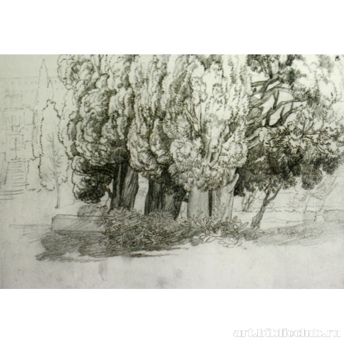 Кипарисы виллы д’Эсте