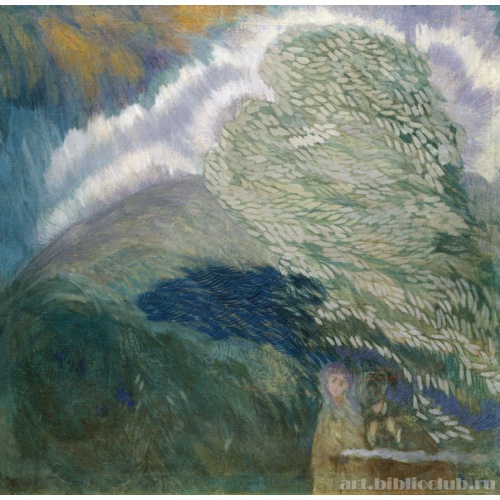 Любители бури