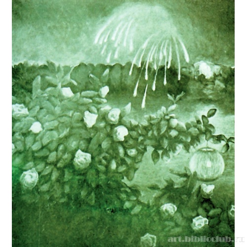 Ночной праздник