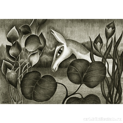 Белый конь на болоте