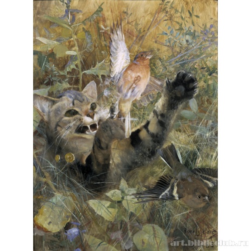 Кошка и зяблик