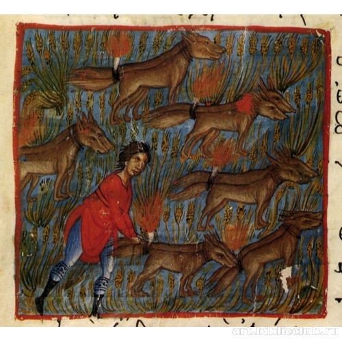 История Самсона