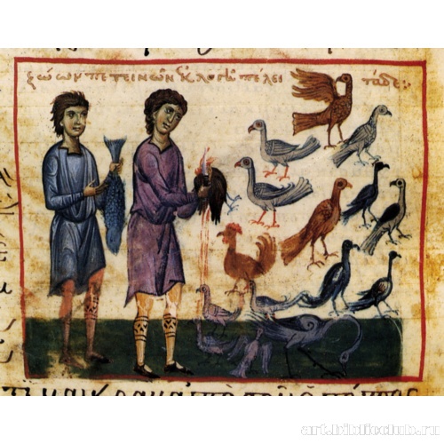 Чистые и нечистые животные