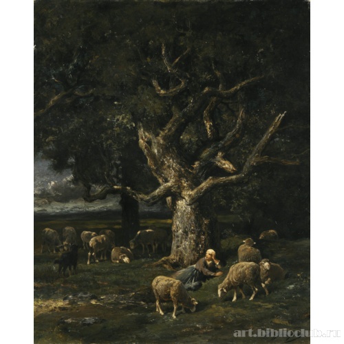 Пастушка и ее овцы