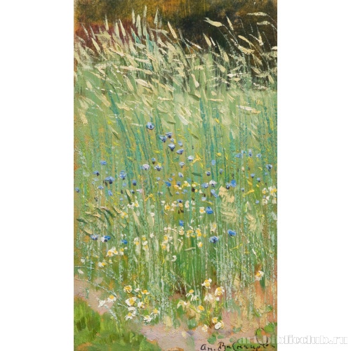 Рожь с васильками и ромашками