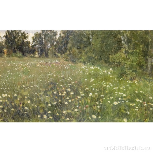 Цветущий луг