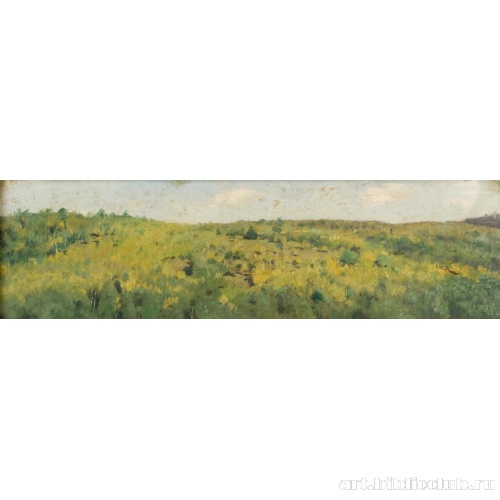 Мелколесье. Ахтырка. Этюд