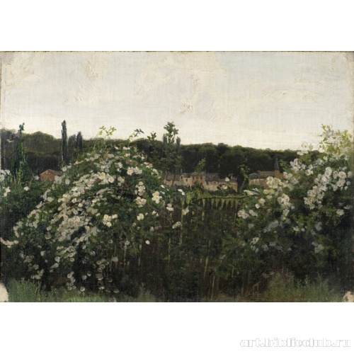 Цветущая изгородь