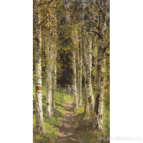 Березовая аллея