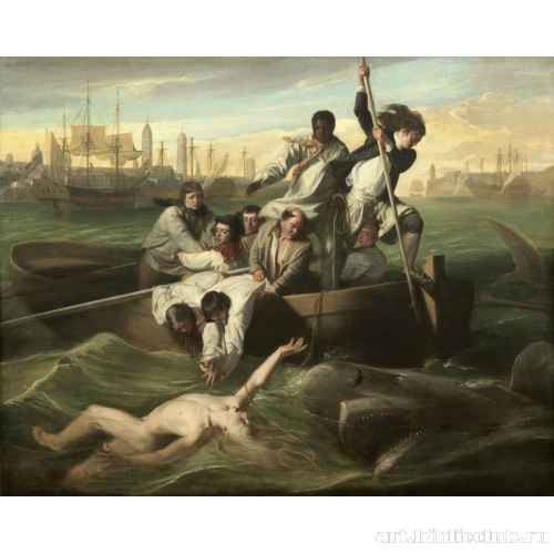 Брук Уотсон и акула