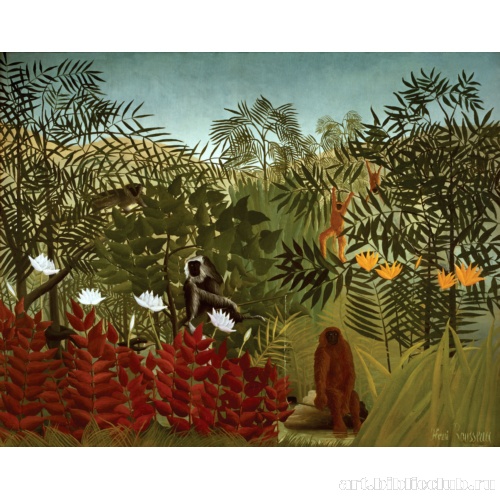 Тропический лес с обезьянами