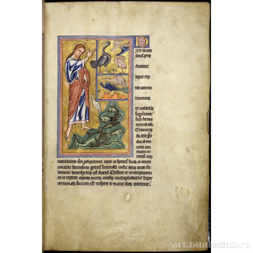 Абердинский бестиарий. Создание птиц и рыб