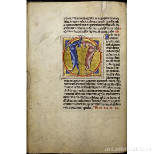 Абердинский бестиарий. Страница с текстом о диком козле. Глава о единороге