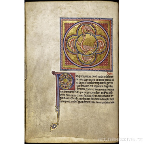 Абердинский бестиарий. Страница с текстом о сороках