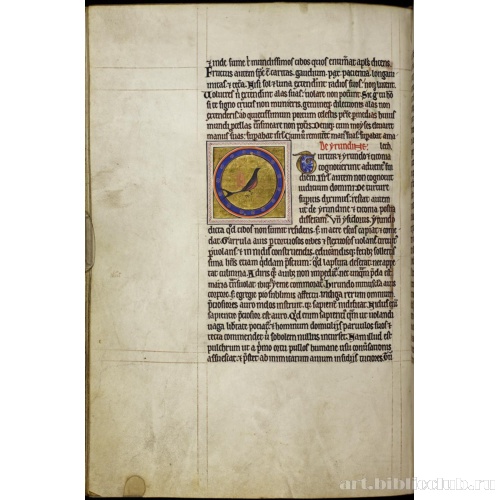 Абердинский бестиарий. Страница с текстом о ласточках