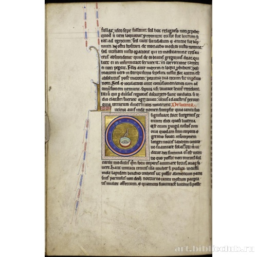 Абердинский бестиарий. Страница с продолжением текста о сойках. Глава о соловьях