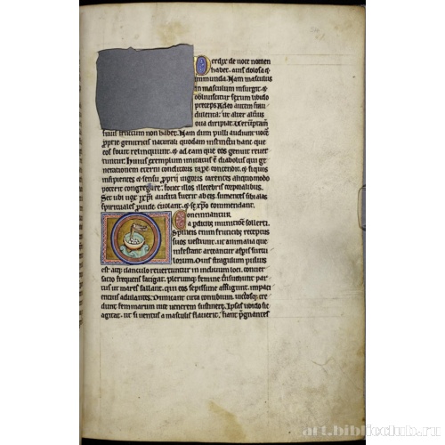 Абердинский бестиарий. Страница с текстом о куропатках