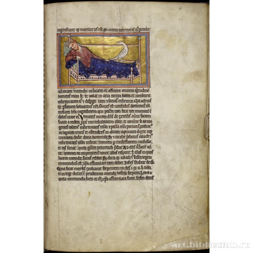 Абердинский бестиарий. Страница с продолжением текста о каладриусах