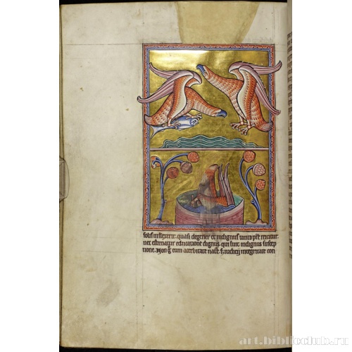 Абердинский бестиарий. Страница с продолжением текста об орлах