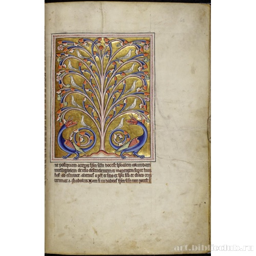 Абердинский бестиарий. Страница с текстом о дереве перидексион