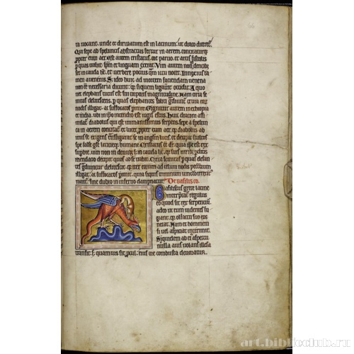 Абердинский бестиарий. Страница с продолжением текста о драконах. Глава о василисках