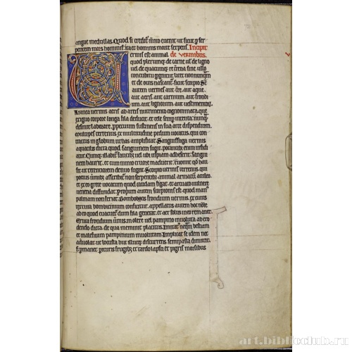 Абердинский бестиарий. Страница с текстом о червях