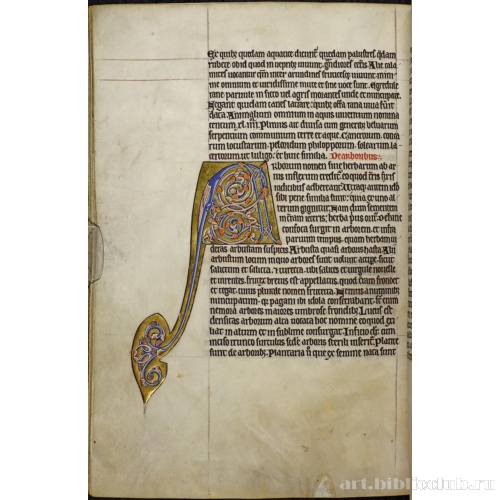 Абердинский бестиарий. Страница с текстом о рыбах. Глава о деревьях