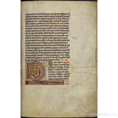 Абердинский бестиарий. Страница с текстом о энудрах