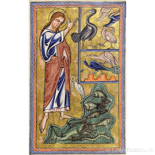 Создание птиц и рыб. Миниатюра из Абердинского бестиария