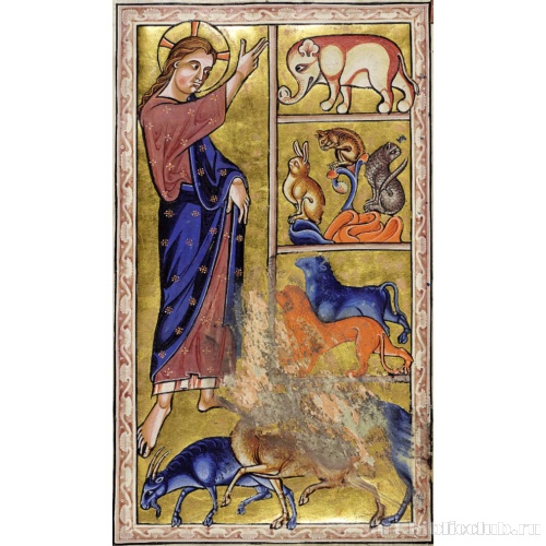 Создание животных. Миниатюра из Абердинского бестиария