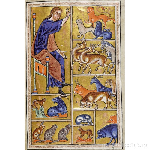 Адам дает имена животным. Миниатюра из Абердинского бестиария