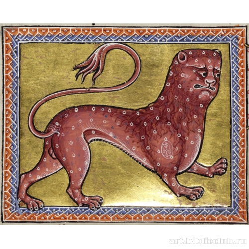 Леопард. Миниатюра из Абердинского бестиария