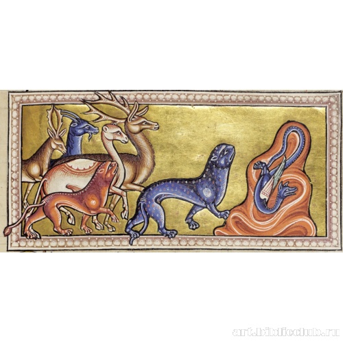 Пантера. Миниатюра из Абердинского бестиария