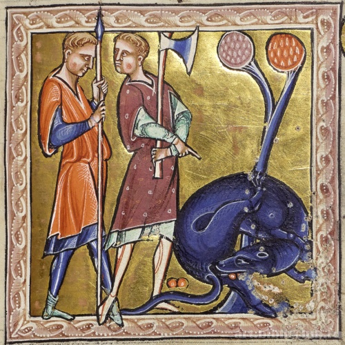 Бобр. Миниатюра из Абердинского бестиария