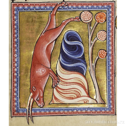 Козерог. Миниатюра из Абердинского бестиария