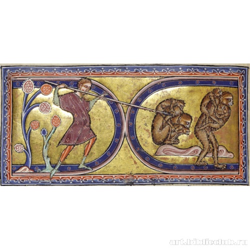 Обезьяны. Миниатюра из Абердинского бестиария