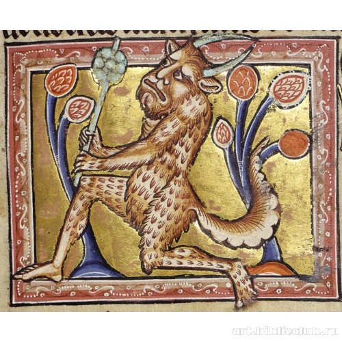 Сатир. Миниатюра из Абердинского бестиария