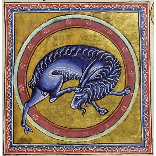 Дикий козел. Миниатюра из Абердинского бестиария