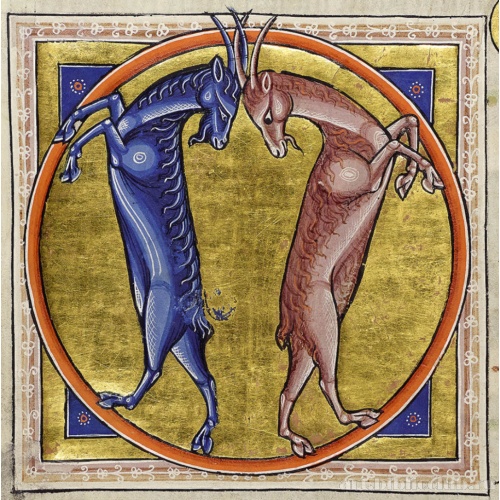 Миниатюра из Абердинского бестиария