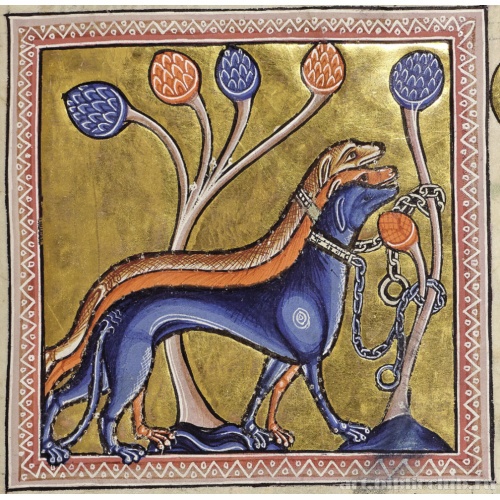 Собаки. Миниатюра из Абердинского бестиария