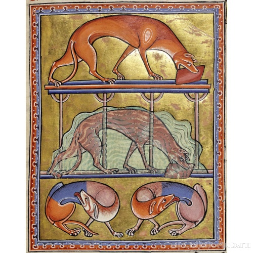 Миниатюра из Абердинского бестиария